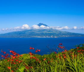 LES ACORES / THE AZORES