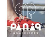 PANIQ A BORD