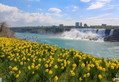 ROAD TRIP - NIAGARA FALLS
