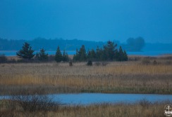 ROAD TRIP - PRESQU'IL BAY