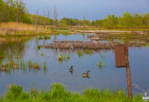 ROAD TRIP VERS L'ONTARIO