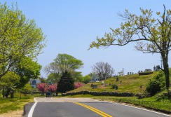 BLOCK ISLAND - NYC