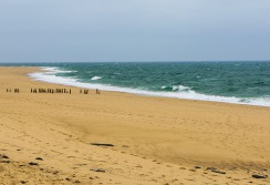 CAPE COD - Massachusetts