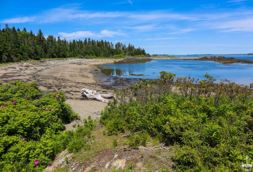  MAINE - NORD USA