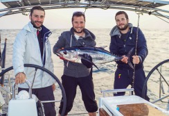 TRANSAT NORD