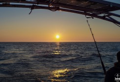 TRANSAT NORD