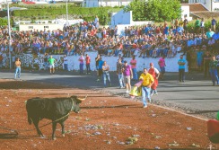 TERCEIRA - ACORES