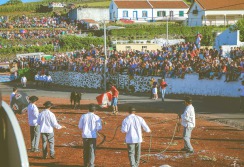 TERCEIRA - ACORES