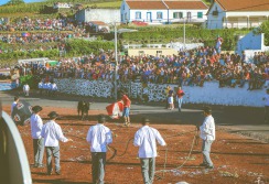 TERCEIRA - ACORES