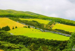 TERCEIRA - ACORES