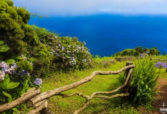 SAO GEORGES - ACORES