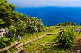 SAO MIGUEL - ACORES