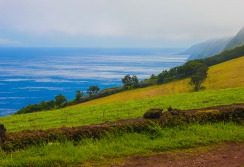 SAO GEORGES - ACORES