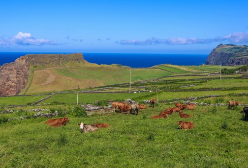 SAO GEORGES - ACORES