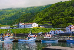 SAO GEORGES - ACORES