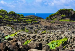 SAO GEORGES - ACORES