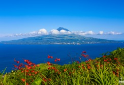 FAIAL - ACORES