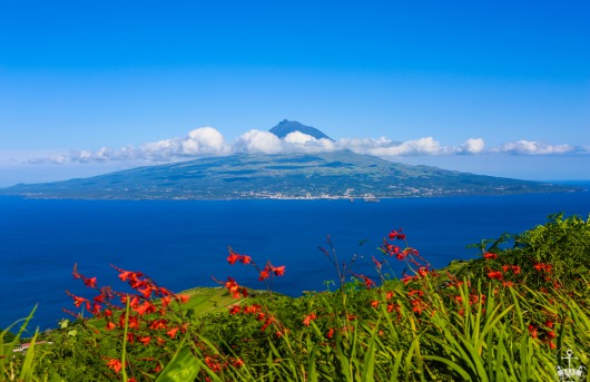 LES ACORES / THE AZORES