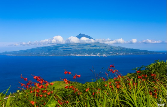 LES ACORES / THE AZORES