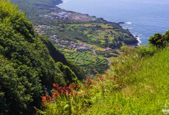 FAIAL - ACORES