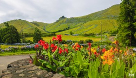 FLORES - ACORES