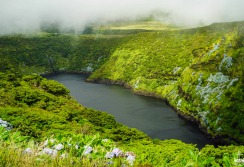 FLORES - ACORES