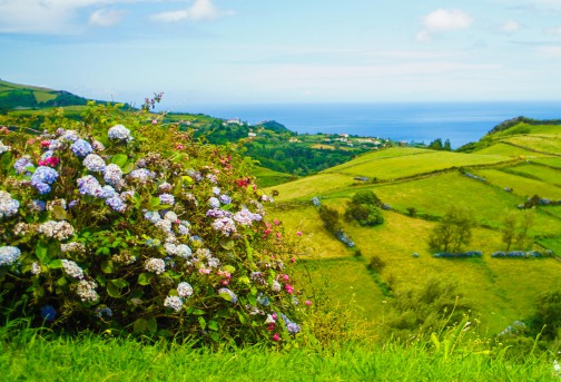 FLORES - ACORES