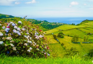 LES ACORES - PORTUGAL