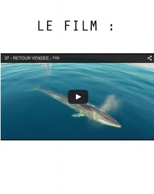 Titre non renseigné