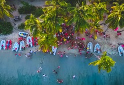 DRONE HIPPOCUP 2016