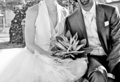 Wedding / Mariage