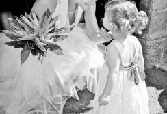 Wedding / Mariage